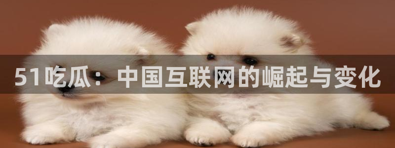 51吃瓜：中国互联网的崛起与变化
