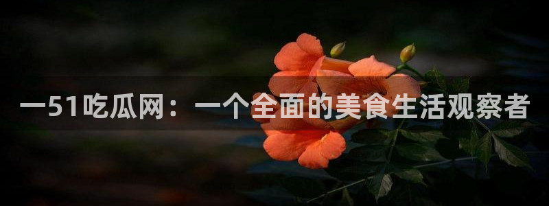 一51吃瓜网：一个全面的美食生活观察者